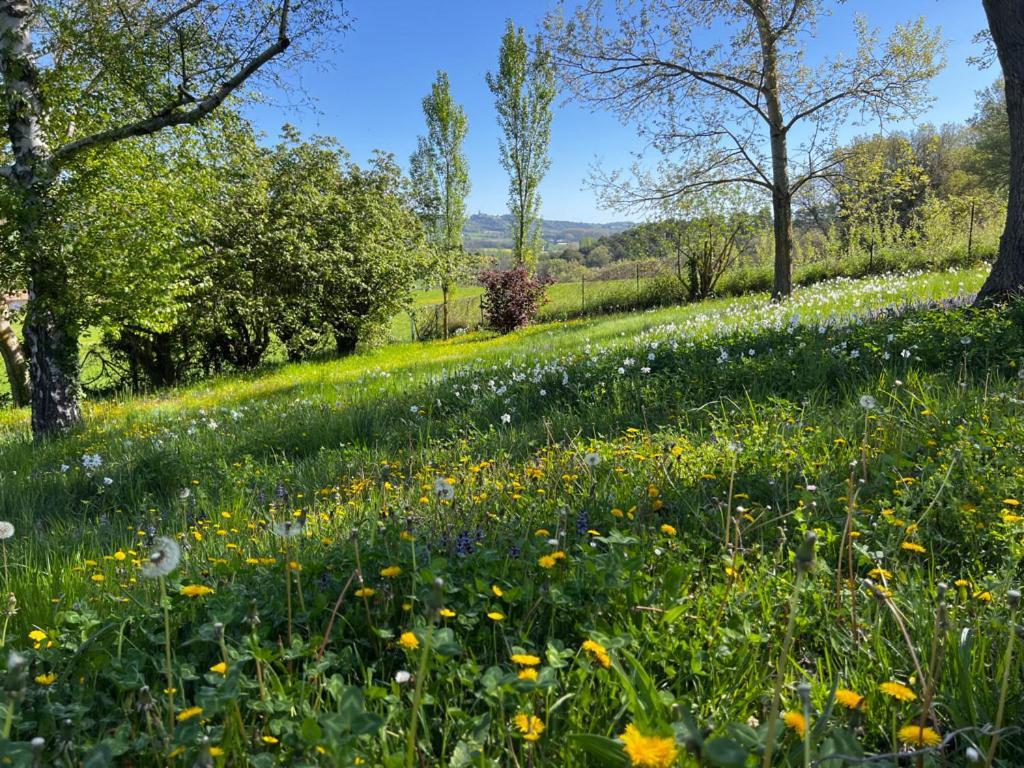 Bed and Breakfast Bergerie Montjustin Exteriér fotografie
